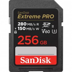 Карта памяти SanDisk Extreme PRO SDXC SDSDXEP-256G-GN4IN 256GB