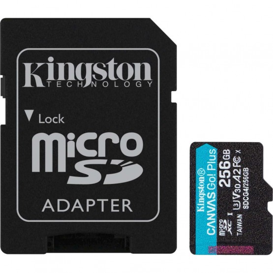Карта памяти Kingston Canvas Go! microSDXC 256GB SDCG4/256GB (с адаптером)