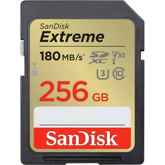 Карта памяти SanDisk Extreme SDXC 256Gb (SDSDXVV-256G-GNCIN)