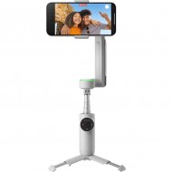 Стедикам Insta360 Flow Pro