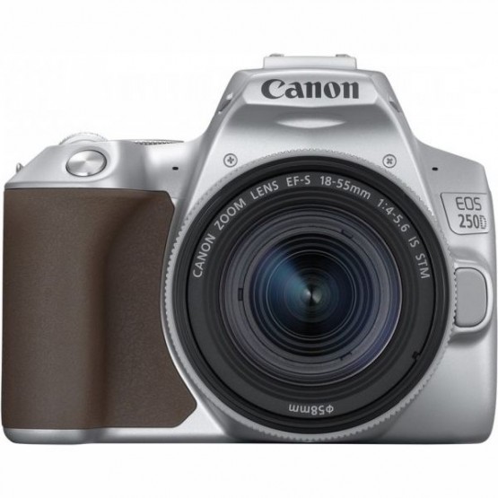 Цифровой фотоаппарат Canon EOS 250D Kit 18-55 IS STM Серебристый цвет