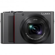 Фотоаппарат цифровой Panasonic Lumix DC-TZ202D (cеребристый)