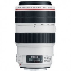 Объектив Canon EF 70-300mm f/4-5.6L IS USM