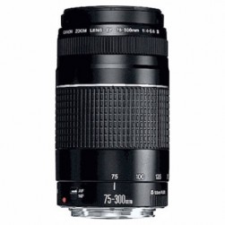 Объектив Canon EF 75-300mm f/4-5.6 III