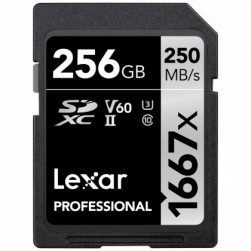 Карта памяти Kingston Canvas Go! Plus microSDXC 128Gb (SDCG3/128GB)