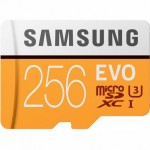 Карта памяти Samsung Evo Plus microSDXC 256Gb (MB-MC256GA)