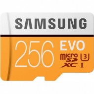 Карта памяти Samsung Evo Plus microSDXC 256Gb (MB-MC256GA/RU)