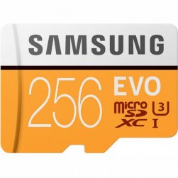 Карта памяти Samsung Evo Plus microSDXC 256Gb (MB-MC256GA/RU)