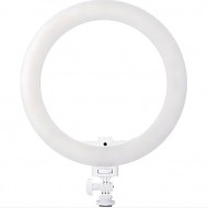 Кольцевая LED с пультом 25 см Zarrumi Pro RL-10AH